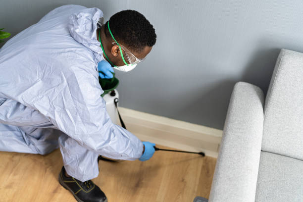 Best Residential Pest Control  in Worland, WY